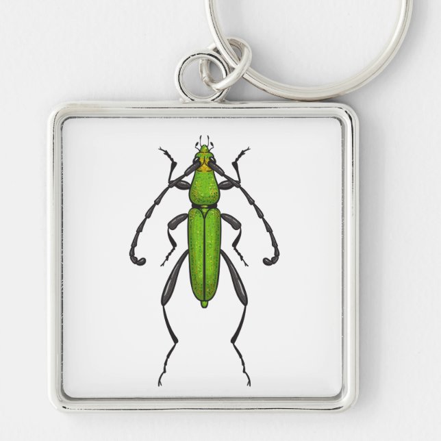 Green beetle key ring (Front)