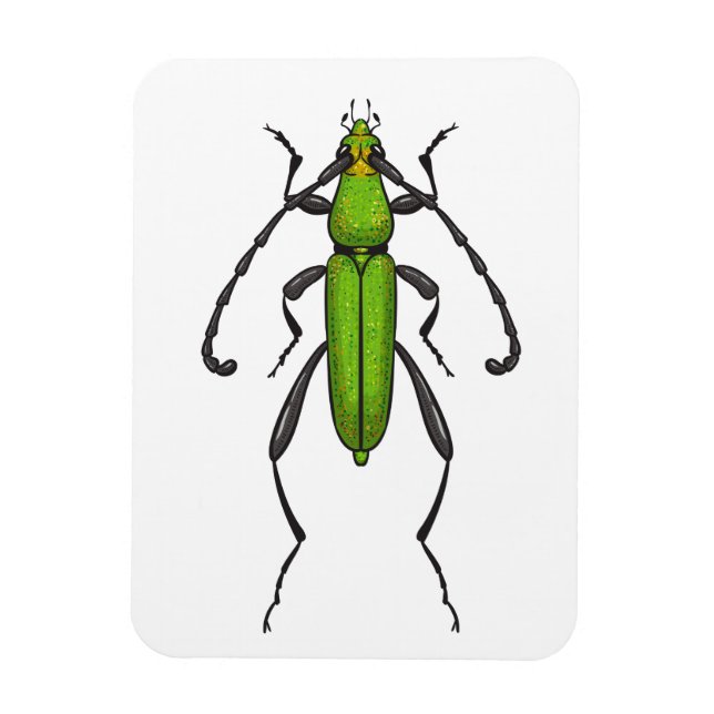Green beetle magnet (Vertical)