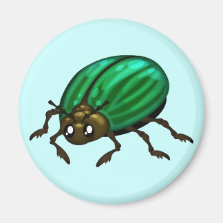 Green Beetle Magnet with customisable background