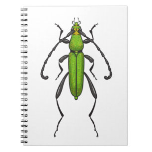 Green beetle notebook
