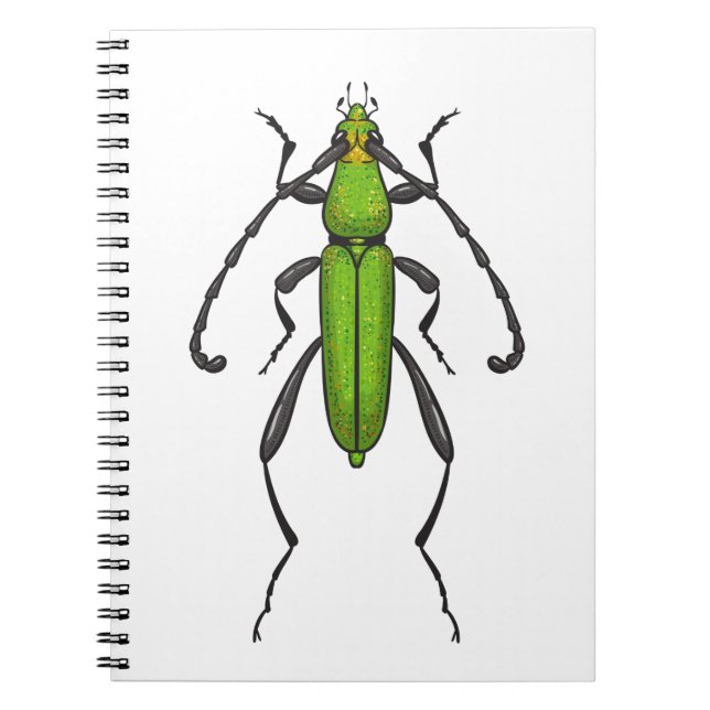 Green beetle notebook (Front)