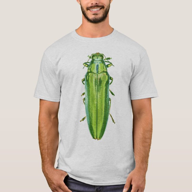 Green beetle shirt (Front)