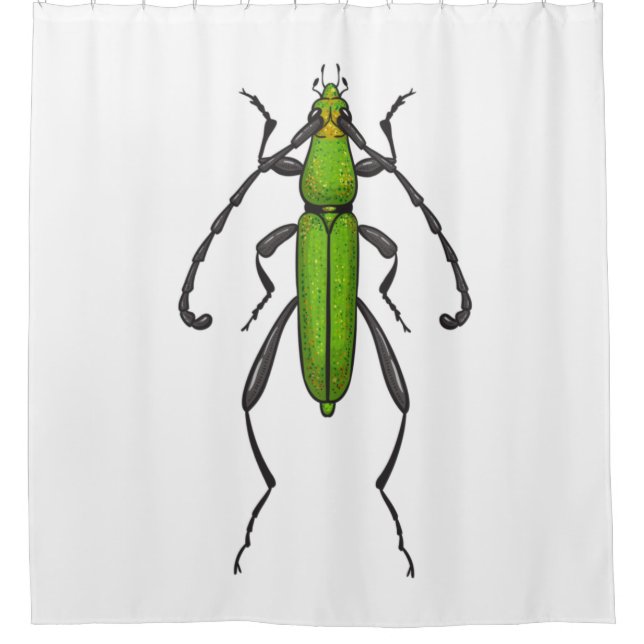 Green beetle shower curtain (Front)