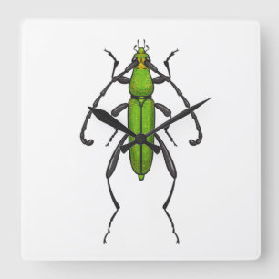 Green beetle square wall clock