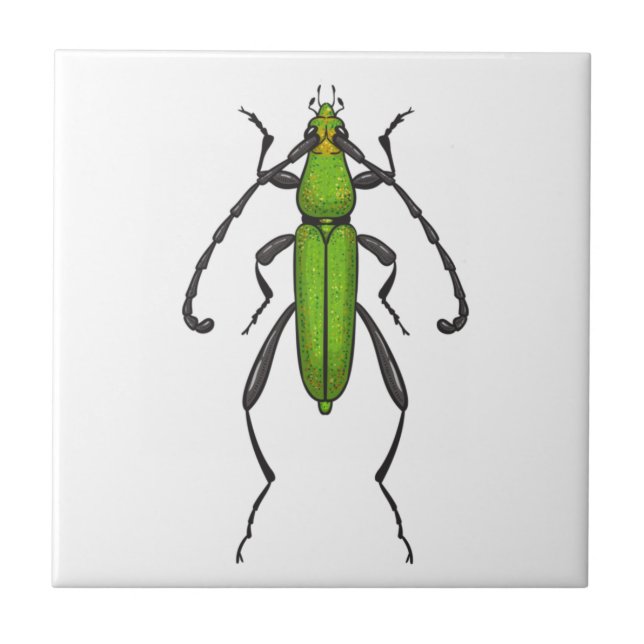 Green beetle tile (Front)