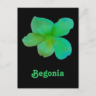 Green Begonia Customisable Postcard