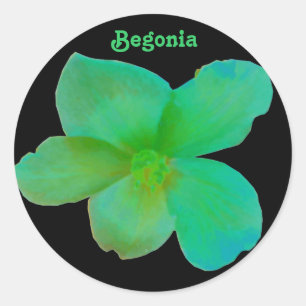 Green Begonia Customisable Sticker