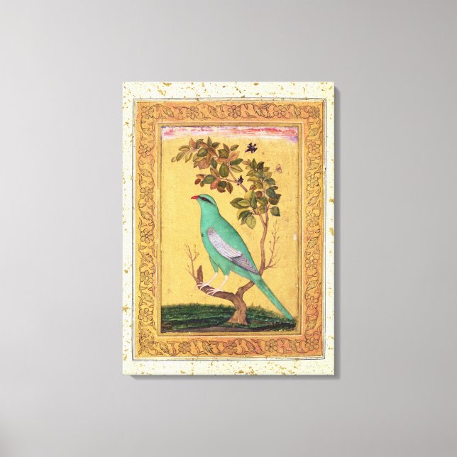 Green Bird, Mughal (gouache on paper) Canvas Print (Front)
