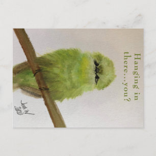 Green Bird Postcard "Hanging in there...you?