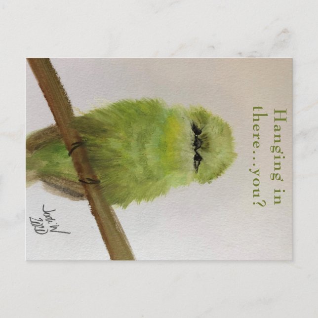 Green Bird Postcard "Hanging in there...you? (Front)