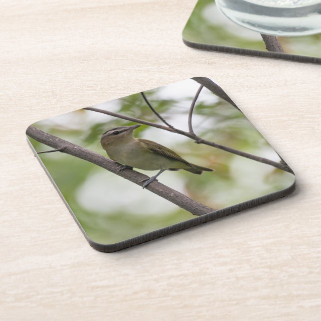 Green Bird, Red-Eyed Vireo, Canadian Photography Coaster (Left Side)