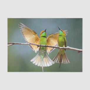 Green Birds Frolic in the Trees Photograph Tissue Paper