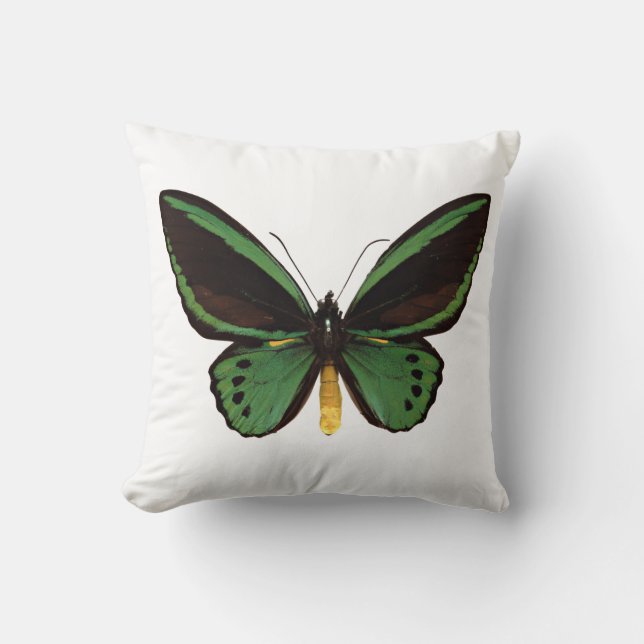 Green Birdwing Butterfly Cushion (Front)