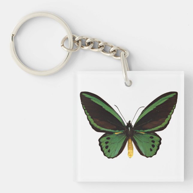 Green Birdwing Butterfly Key Ring (Front)