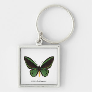 Green Birdwing Butterfly Key Ring
