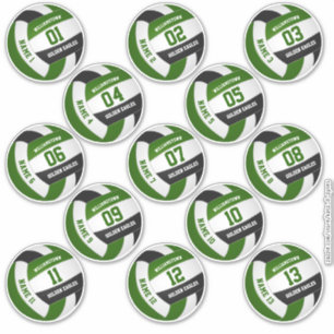 green black volleyball team colours players names