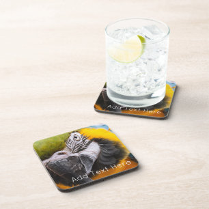 Green, Blue and Yellow Macaw Parrot Coaster