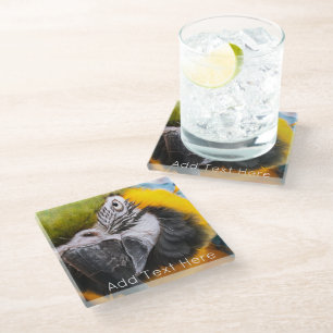 Green, Blue and Yellow Macaw Parrot Glass Coaster