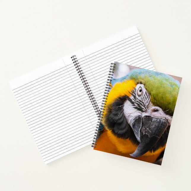 Green, Blue and Yellow Macaw Parrot Notebook (Inside)