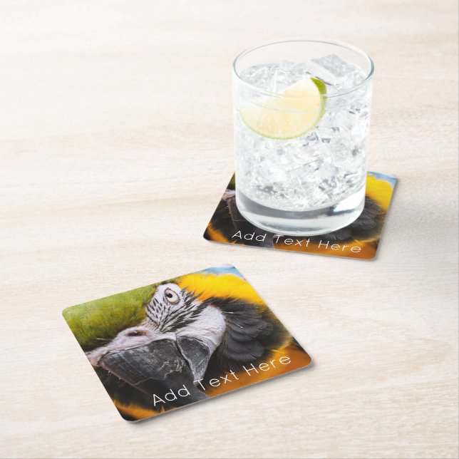 Green, Blue and Yellow Macaw Parrot Square Paper Coaster (Insitu)