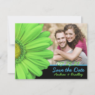 Green Blue Gerbera Daisy Photo Wedding Save The Date