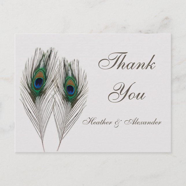 Green blue peacock feathers Thank You Postcard (Front)