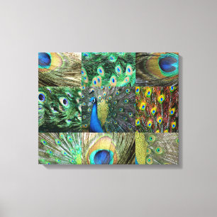 Green Blue Peacock photo collage Canvas Print
