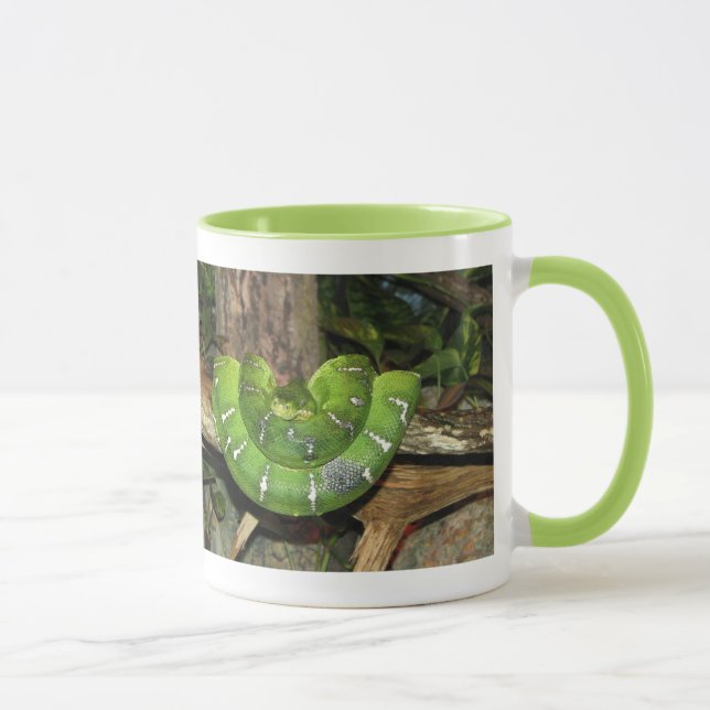 Green Boa Snake Ringer Mug (Right)