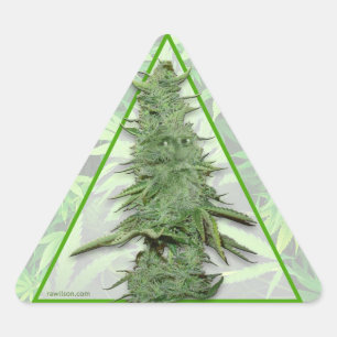 Green Bob Stickers (20)