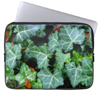 Green botanical Ivy and field stone