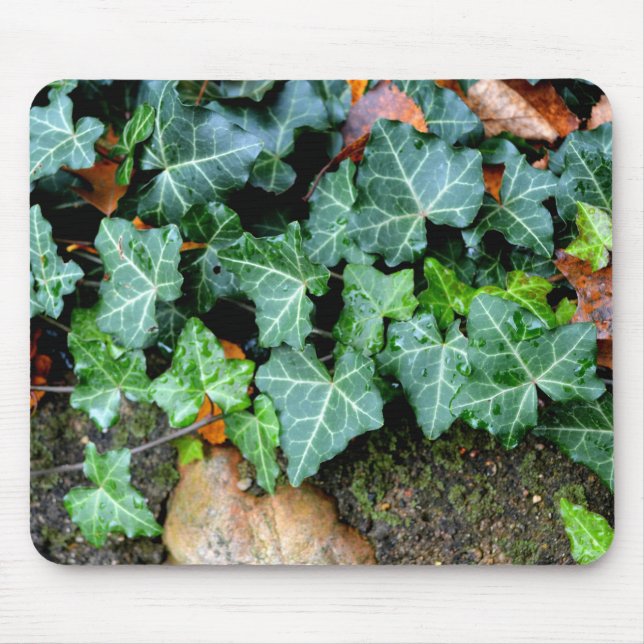 Green botanical Ivy and field stone Mouse Mat (Front)