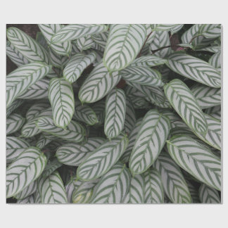 Green Botanical Leaf Pattern Wrapping Paper