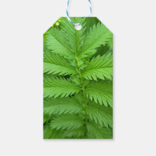 Green Botanical Leaves Gift Tag