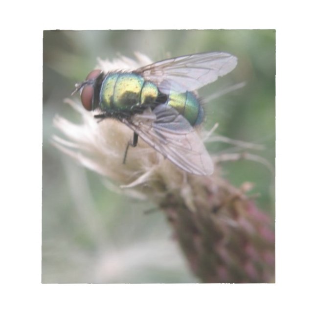 Green Bottle Fly Macro Notepad (Front)
