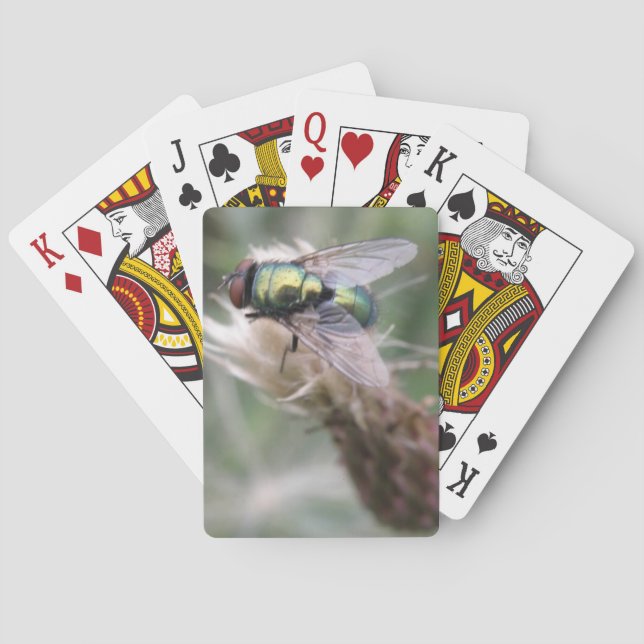 Green Bottle Fly Macro Playing Cards (Back)