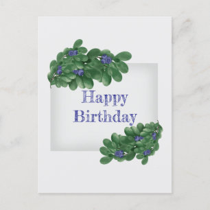 Green Branches with Blueberries Postcard