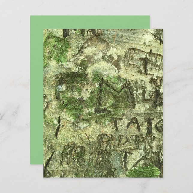 Green Brown Carved Bark Texture Scrapbook Paper (Front/Back)