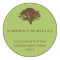 Green brown oak tree circle custom address label