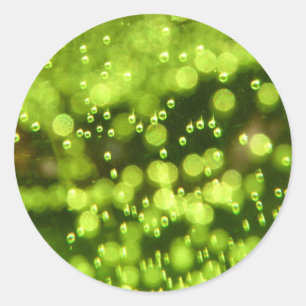 Green Bubbles Classic Round Sticker