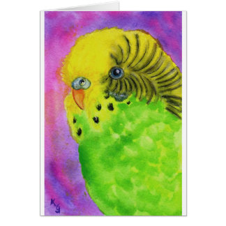 Green Budgie