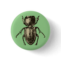 Green bug 2" round button