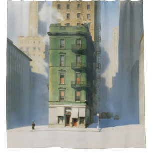 Green Building in New York Winter Shower Curtain