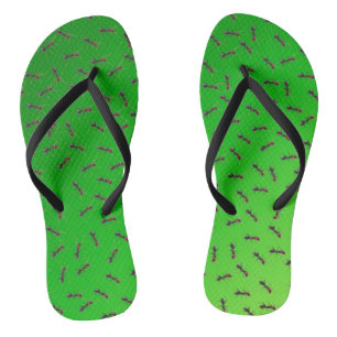 Green Bull Ants Swarming, Flip Flops