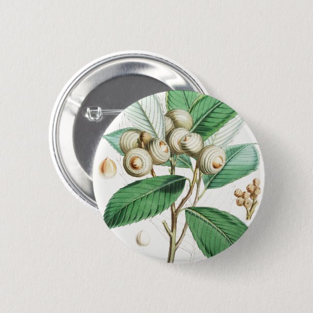 Green Bull Oak 6 Cm Round Badge (Front & Back)