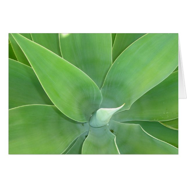 Green Burst v2 (Front Horizontal)