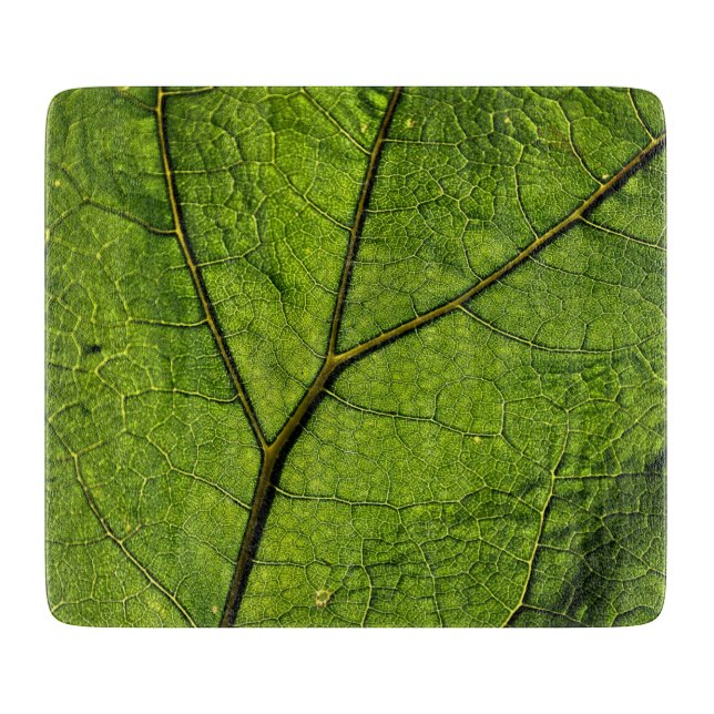 Green Butterbur Leaf Cutting Board (Front)