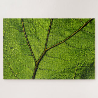 Green Butterbur Leaf Jigsaw Puzzle