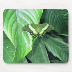 Green Butterfly Mouse Mat