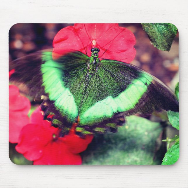 Green Butterfly Nature  Mouse Mat (Front)