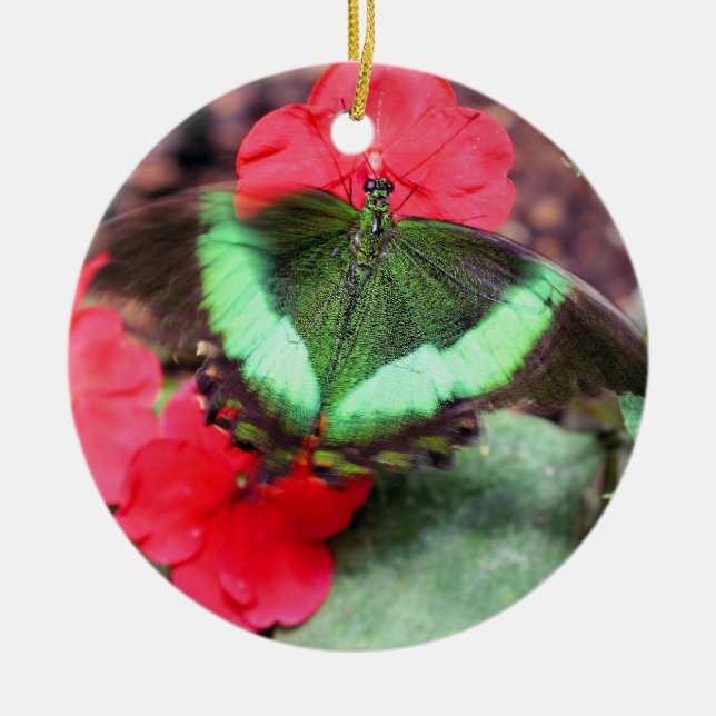 Green Butterfly Nature Ornament (Front)